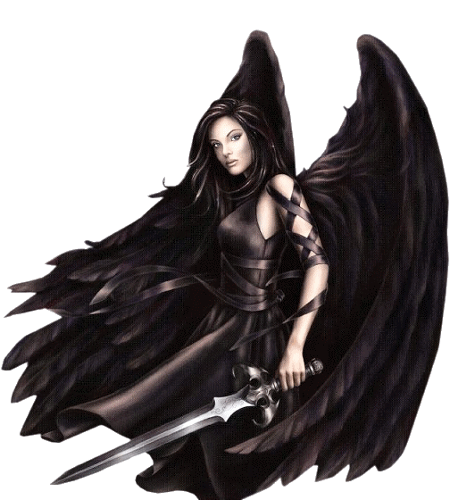 >>Dark wing Angel<<